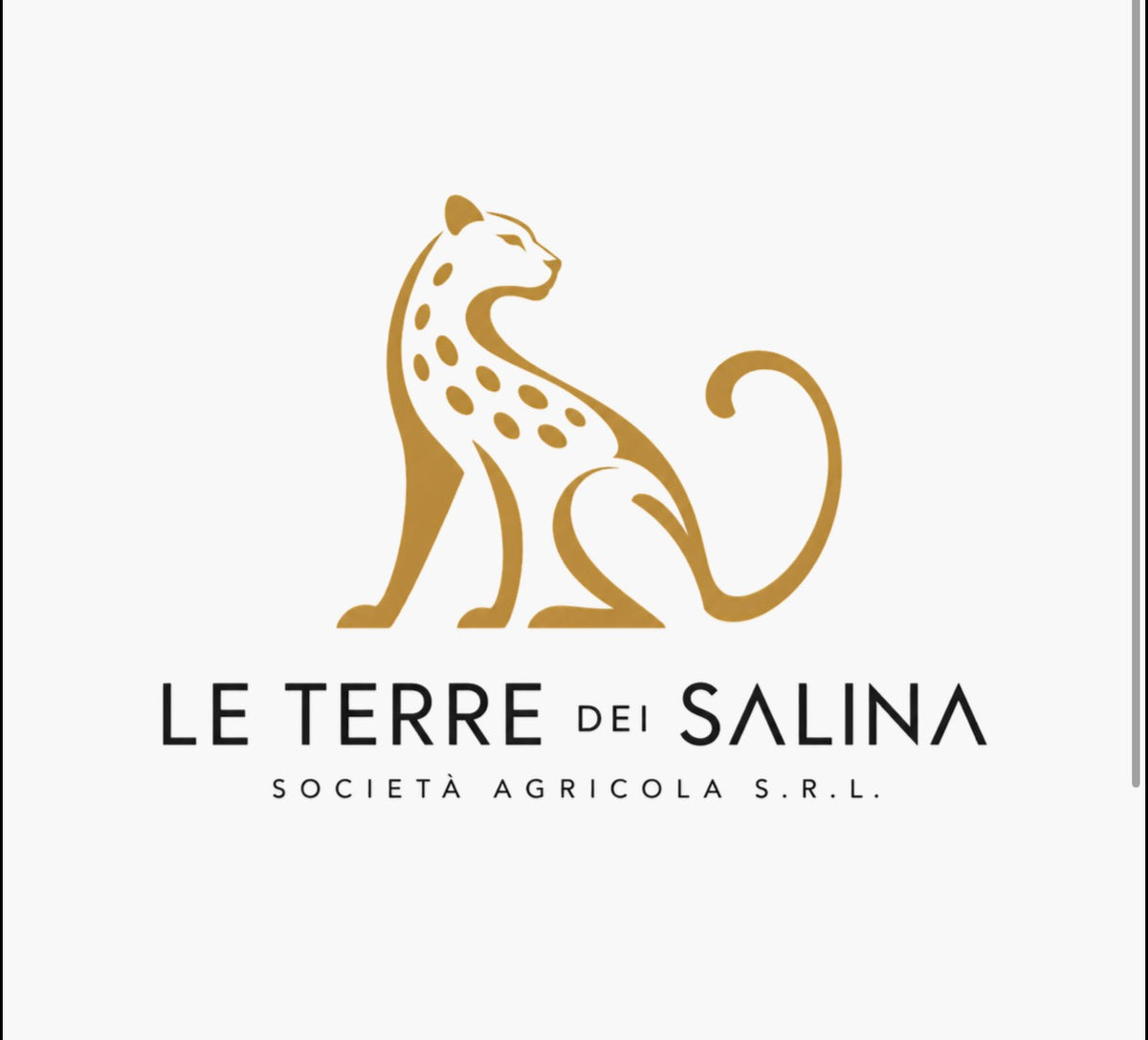 Le Terre dei Salina